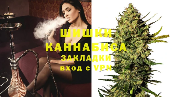 стафф Заволжск
