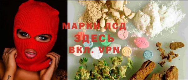 стафф Заволжск