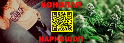 крисы Волгодонск