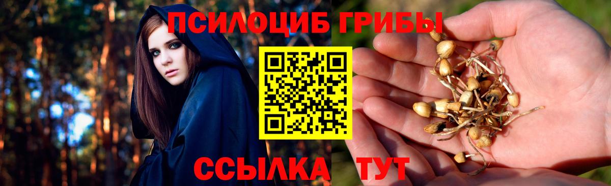 Мегион  Галлюциногенные грибы прущие грибы  Вход с VPN  Псилоцибиновые грибы прущие грибы 